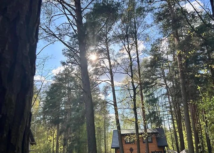 Pod Sosnami Prázdninový dům