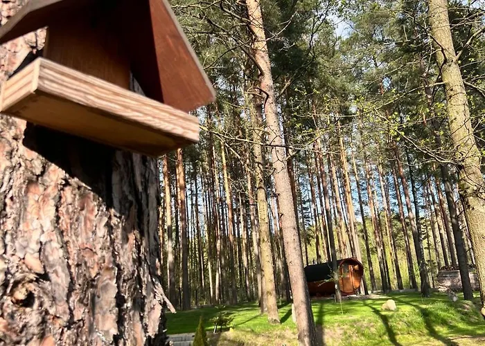 Prázdninový dům Pod Sosnami *